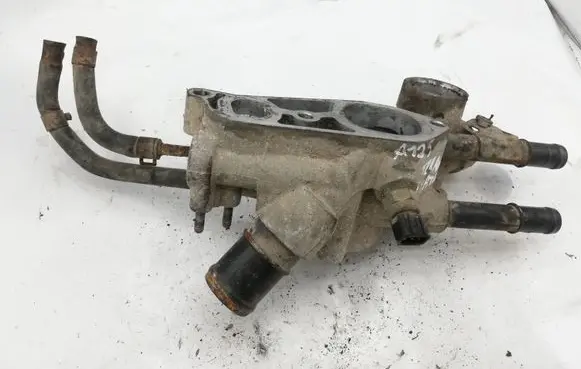 Thermostat/thermostat housing