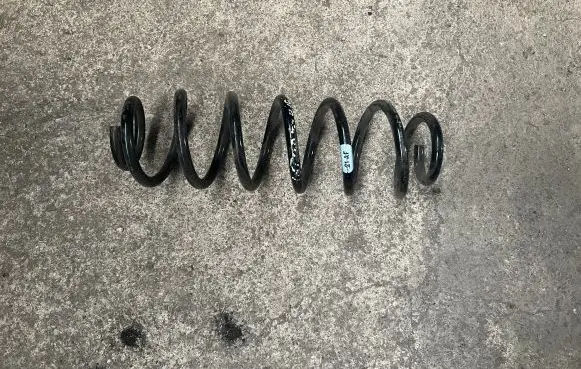 Rear coil spring