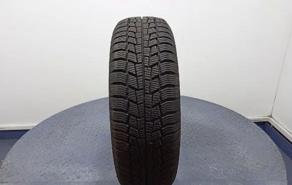 Volkswagen PASSAT B5 R17 winter tire 4024069001002