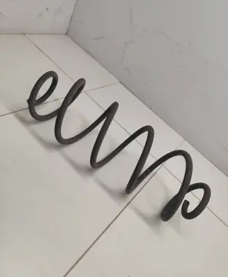 Rear coil spring