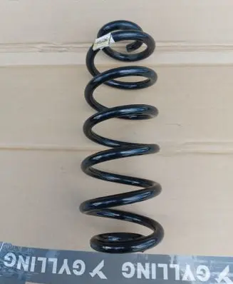 Rear coil spring