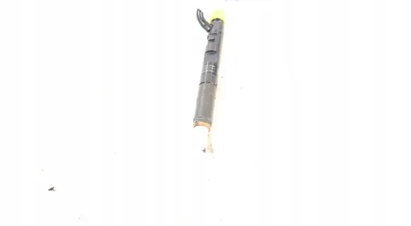 Renault Fluence Fuel injector