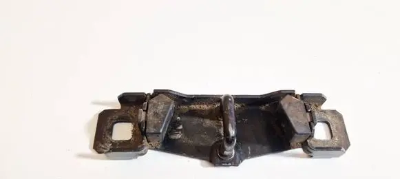 Ford S-MAX Rear door lock loop/hook striker 