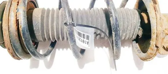 Nissan Pixo Front coil spring