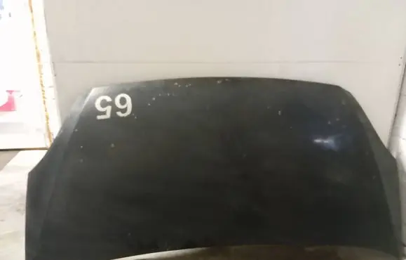 Engine bonnet/hood
