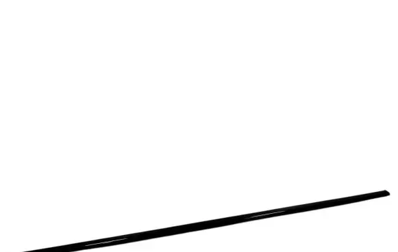 Citroen DS5 Front door glass trim molding