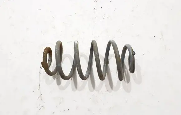 Rear coil spring