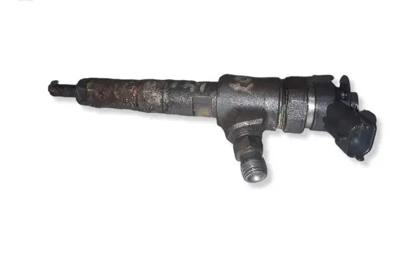 Peugeot 206 Fuel injector 0445110075