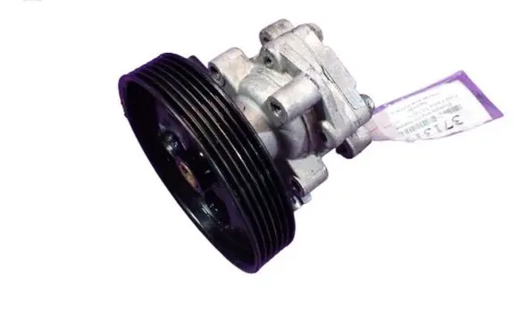 Ford Fiesta Power steering pump