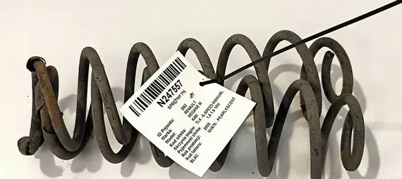 Rear coil spring