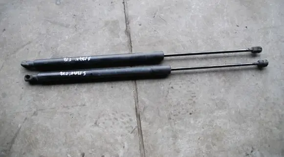 Tailgate strut