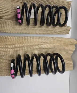 Rear coil spring