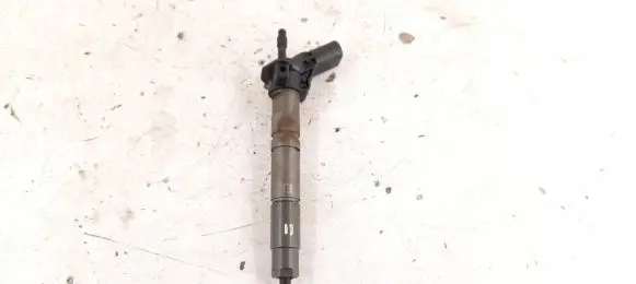 Mercedes-Benz R W251 Fuel injector 6420700587 6420701987
