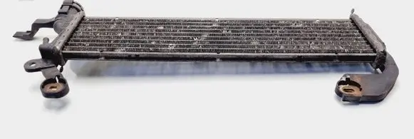Mercedes-Benz C W203 Fuel cooler (radiator) A2025007903