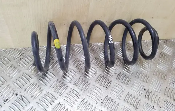 Rear coil spring