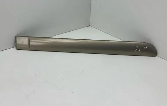 Rear door trim (molding)