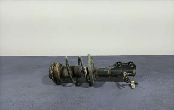 Opel Insignia A Front shock absorber/damper 84155685