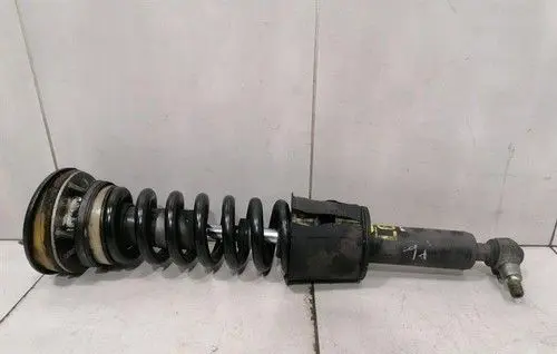 Mercedes-Benz S W221 Front shock absorber/damper A2213206113