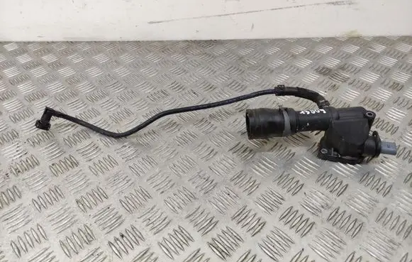 Thermostat/thermostat housing