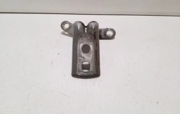 Opel Ampera Front door lower hinge 