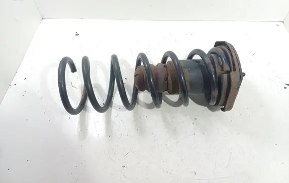 Volvo S60 Rear coil spring
