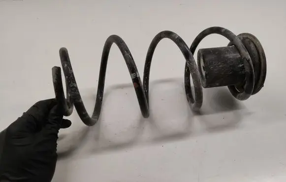 Renault Kangoo II Rear coil spring 