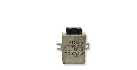 BMW 5 E39 Immobilizer control unit/module 61356905666 05393245 110187