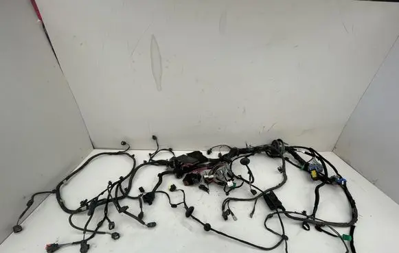 Renault Scenic IV - Grand scenic IV Wiring harness 403887208R 241148160R