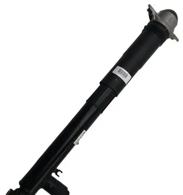Cupra Formentor Rear shock absorber/damper 5FF512009