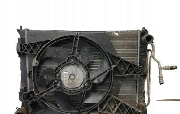 Renault Twingo II Radiator set 8200369312
