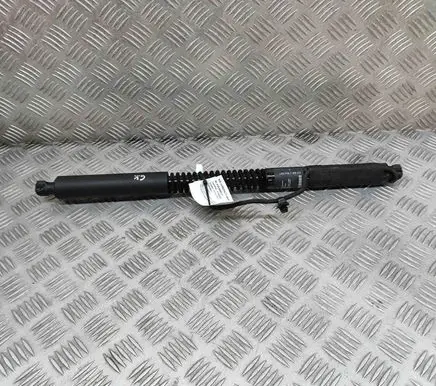 Tesla Model X Other devices 106344000D