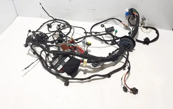 Renault Espace V (RFC) Other wiring loom 403885681R