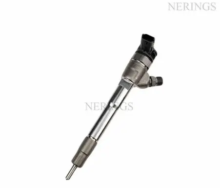 Renault Koleos II Fuel injector 0445110895