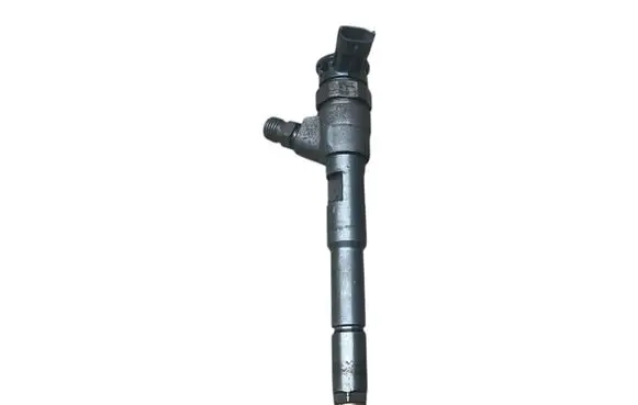Renault Kangoo II Fuel injector 0445110485 H8201108033