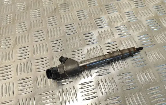 Citroen DS7 Crossback Fuel injector 9828959880