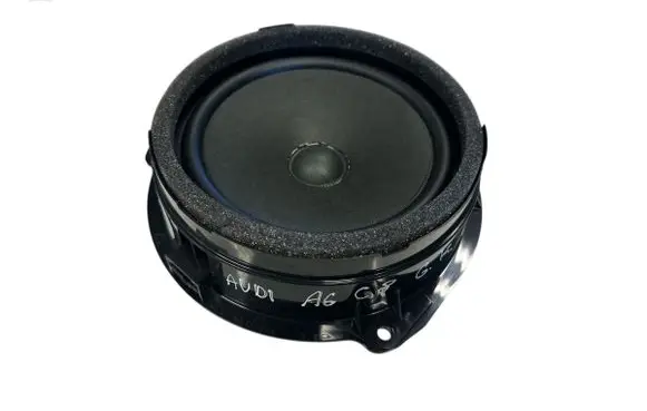 Rear door speaker
