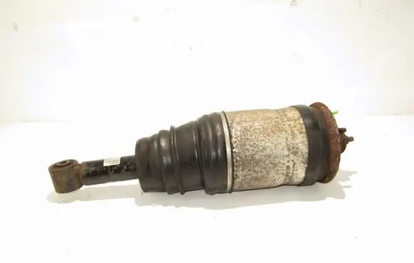 Land Rover Discovery 3 - LR3 Rear shock absorber/damper 22214642