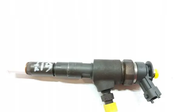 Peugeot 307 Fuel injector 0445110135