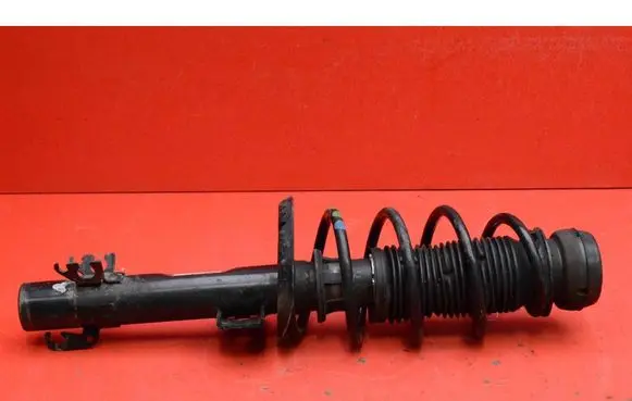 Skoda Fabia Mk1 (6Y) Front shock absorber/damper 6R0413031BF
