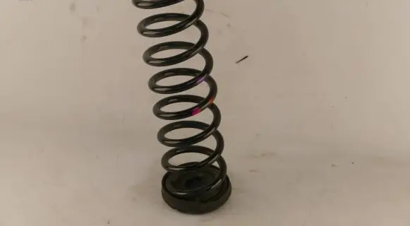 Ford Kuga II Rear coil spring