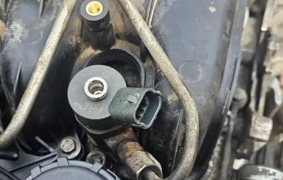 Citroen Berlingo Fuel injector 0445110239