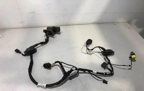 Volkswagen Golf V Front door wiring loom 1K5971121BL