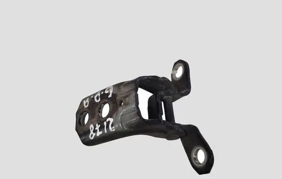 Nissan Juke I F15 Rear door lower hinge