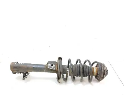 Mercedes-Benz B W245 Front shock absorber with coil spring A1693201130