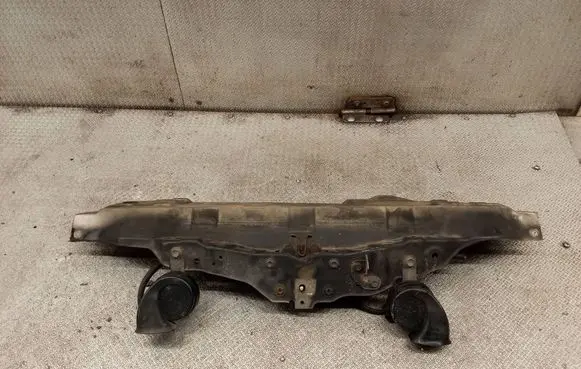 Radiator trim
