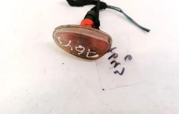 Front fender indicator light