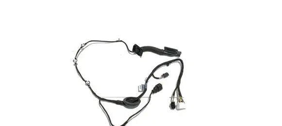 Audi Q2 - Rear door wiring loom 81A971687M 37384