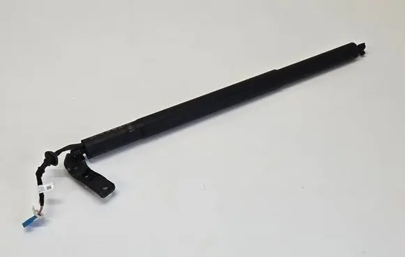 Tailgate/trunk strut/damper