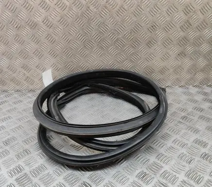 BMW M4 F82 F83 Rubber seal front door (on door) 7279741