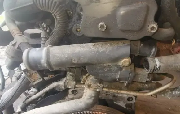 Volkswagen Golf V Engine coolant pipe/hose 038121132D